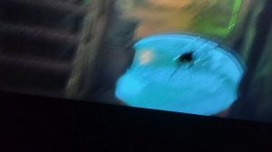 добилась бага в игре  Stray 🤣🤣😂