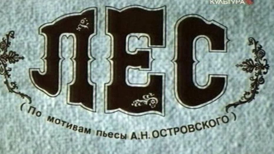 Лес 1980