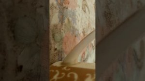 Добрый вечер 👍