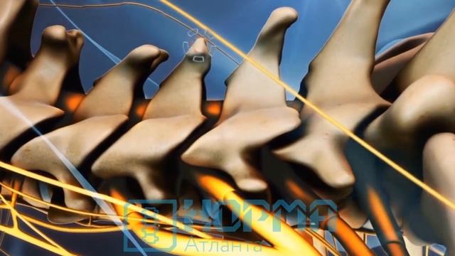 Коротко про АТЛАНТ. Норма атланта смотреть онлайн