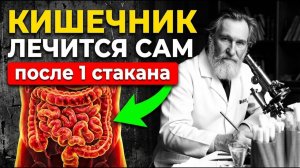 Запомните! БУДЕТ РАБОТАТЬ КАК ЧАСЫ! Кишечник восстанавливает обычная… Врач МЕЧНИКОВ