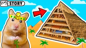 Хомяки в лабиринте-пирамиде с ловушками и сокровищами 🔥 Хомяк Хомура