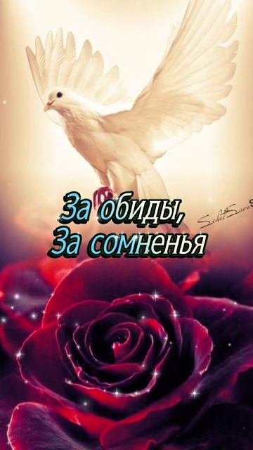 видеооткрытка_с_прощеным_воскресеньем смотреть онлайн