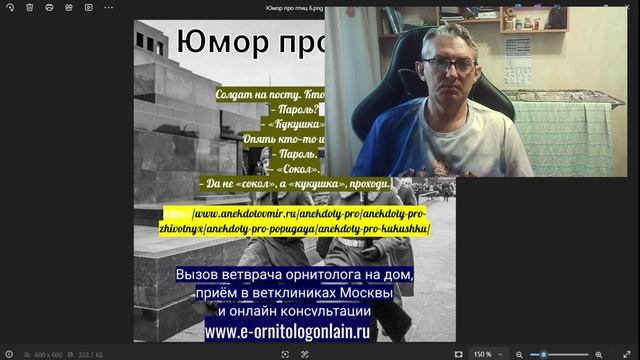 Юмор про птиц. Выпуски с 1 по 10-й.