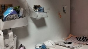 Обзор на дом где живут Рафаэль и Луна.