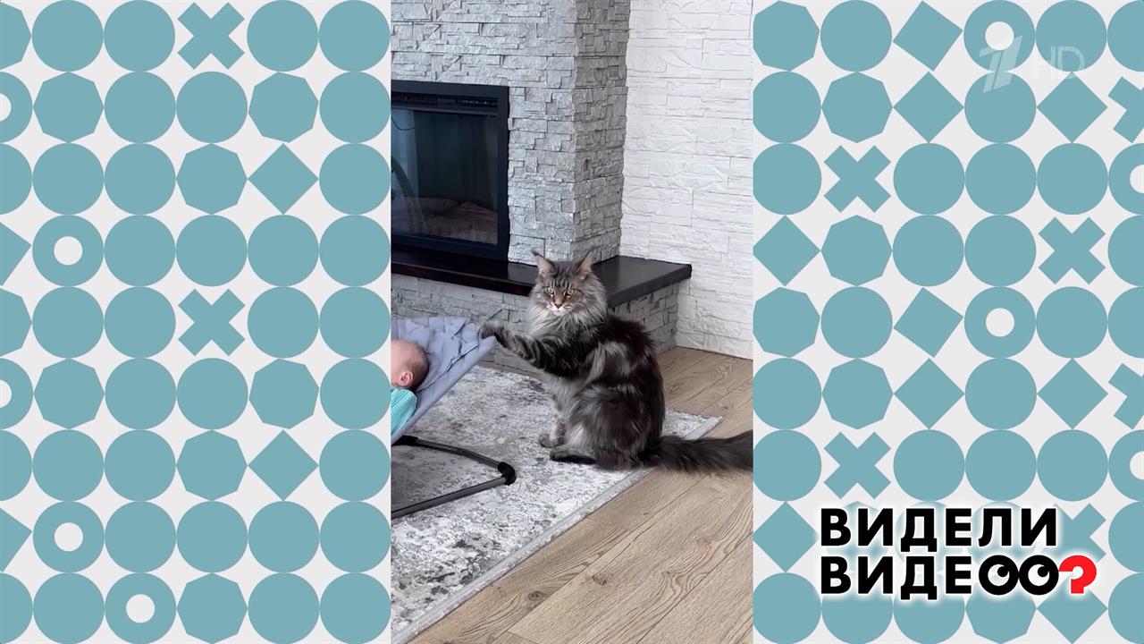 Усатый нянь. Видели видео? Фрагмент выпуска от 22.02.2026 смотреть онлайн