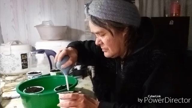 Пересадила перец и поговорила. смотреть онлайн