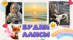 Будни Алисы! Алиса полетела на море, увидела много рыбок, купается в бассейне!