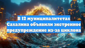 В 12 муниципалитетах Сахалина объявили экстренное предупреждение из-за циклона