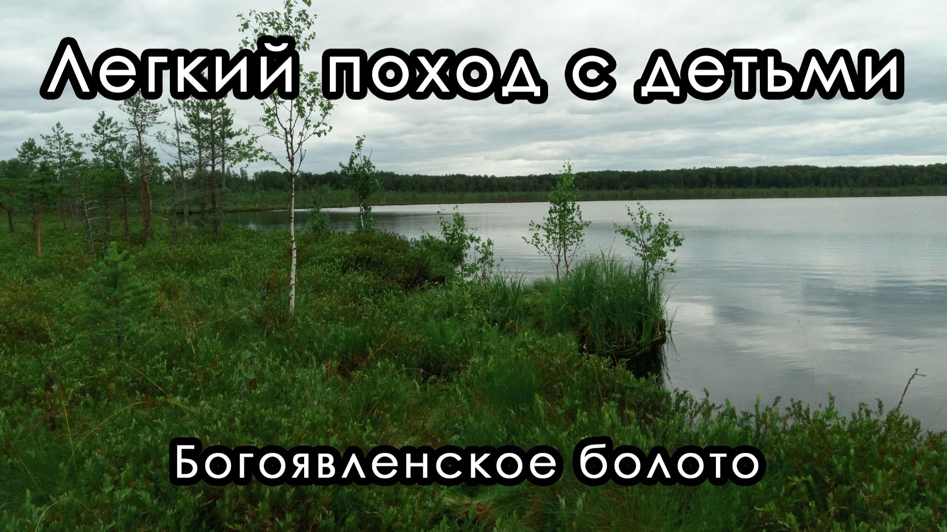Легкий поход с детьми на Богоявленское озеро. Большесельская экотропа, Ярославская область.