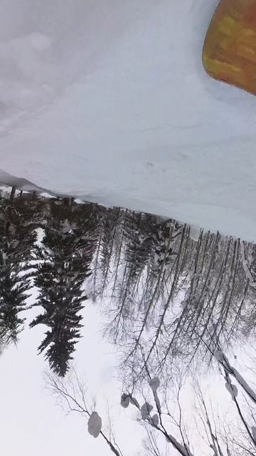 Покатушки в Губахе Insta360x3