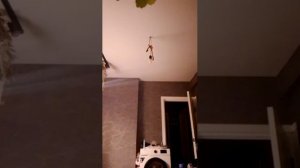 рай - вечное богатство от АЛЛАГЬА ❤️