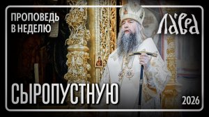 Проповедь в Неделю сыропустную, 2026