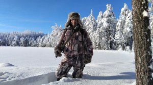 До Избы на закрытие капканов пришла Рысь и Лоси