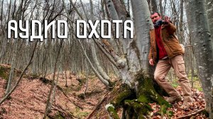 Аудио охота в лесной глубине / Оттепель на Ставрополье