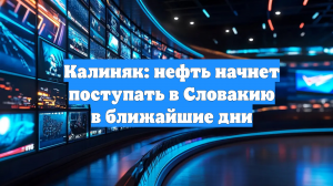 Калиняк: нефть начнет поступать в Словакию в ближайшие дни
