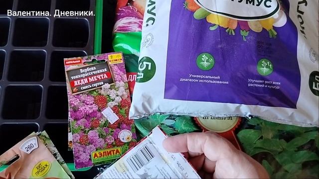 Посеяла просроченые семена цветов. Не выбрасывать же. Купила грунт.