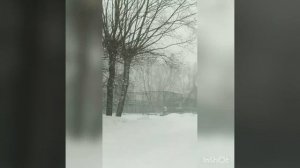 #зима и очаровательная Елена Ваенга