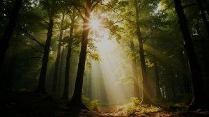 Как же было в лесу хорошо