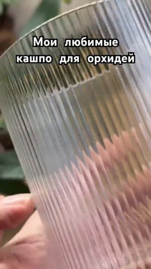 Мои любимые кашпо для закрытой системы посадки орхидей