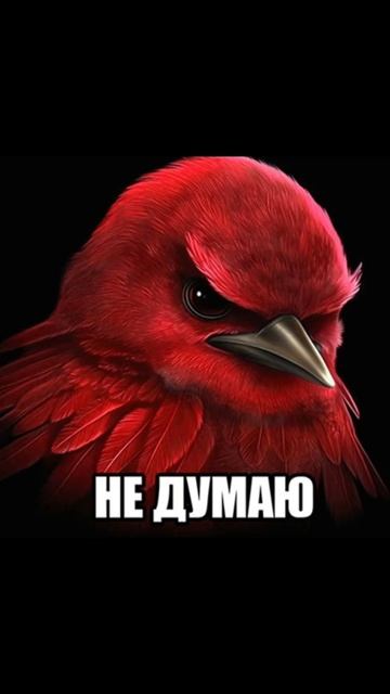 Признавайся, а ты прочитал? 👀 #егэ_по_литературе