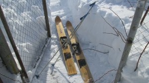 Лыжня здоровья