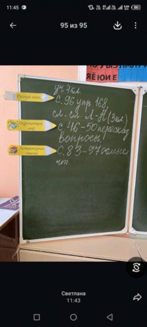 ДЕНЬ СКЕБОБИКОВ