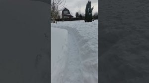 VID_20260222_115729.mp4