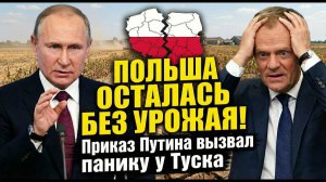 ПОЛЬША ОСТАЛАСЬ БЕЗ УРОЖАЯ! Приказ Путина вызвал панику у Туска