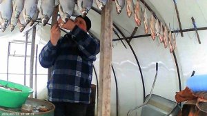 Вялинье липехи