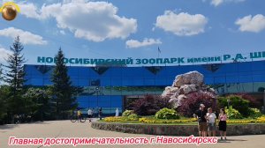 Самый большой зоопарк в России с пятью белыми медведями. г. Новосибирск