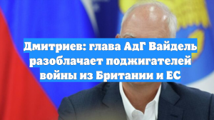 Дмитриев: глава АдГ Вайдель разоблачает поджигателей войны из Британии и ЕС