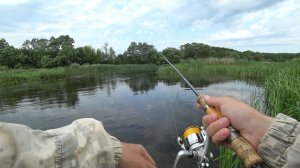 ОТ ТАКОЙ МОЩНОЙ ПОКЛЕВКИ ПУГАЕШЬСЯ