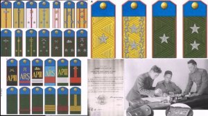 Погоны Тувинской Революционной армии