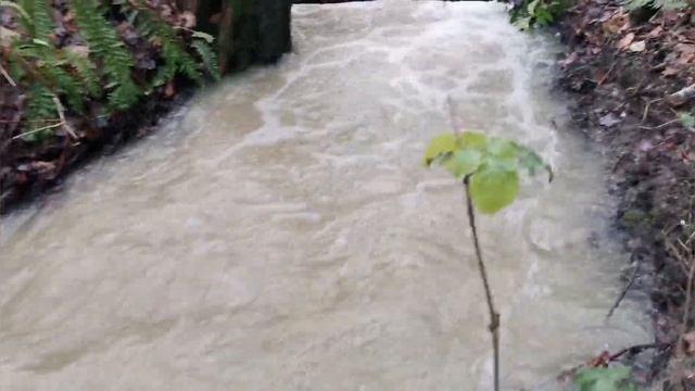 Волчьи ворота .mp4