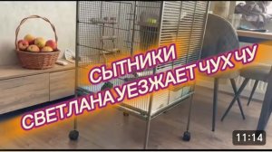 САМВЕЛ АДАМЯН, СЫТНИКИ, СВЕТЛАНА УЕЗЖАЕТ, ЧУХ ЧУ(ОРИГИНАЛ НАЗВАНИЯ)