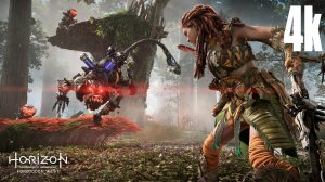 Horizon Запретный Запад. Полное издание: ПИРАТКА