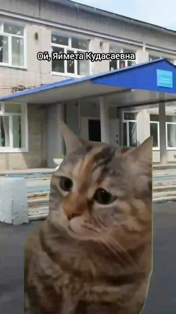 Пожар в школе (Но с котами)