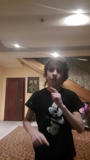 учюсь делать сальто