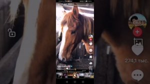 Обзор на почти весь мой телефон