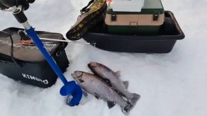 22.02.26 г. РК Волна.