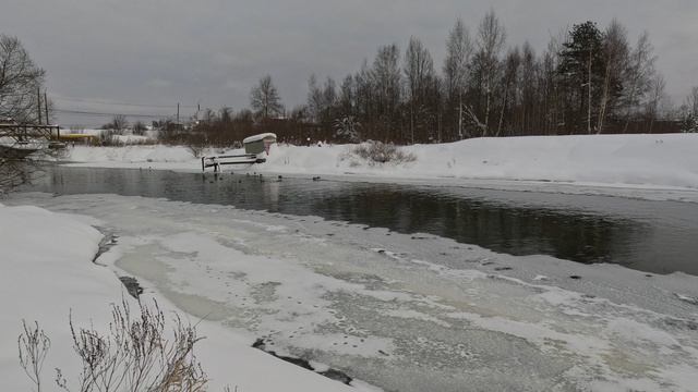 Река Уводь. Зима. #3 смотреть онлайн