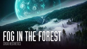 FOG IN THE FOREST| Туманный лес | Deep Chill Out Mix | Meditation music | 1 час покоя | Relax LoFi