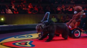 #Цирк Филатовых