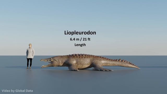 Морские динозавры. Сравнение.