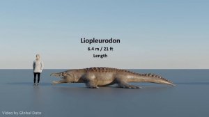 Морские динозавры. Сравнение.