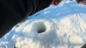 Хорошо когда есть такая речка у дома, ловлю сорогу на мормышку.