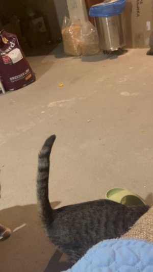 Кузе ищу семью СПб.