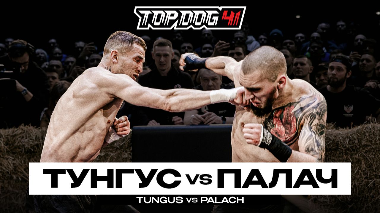Тунгус VS Палач | TOP DOG 41, Новосибирск смотреть онлайн