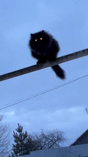 Чернуха - хороший парень